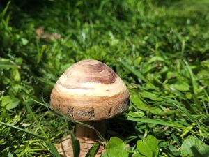 Champignon en Noissette (divers styles/taille) • © AHM Créations