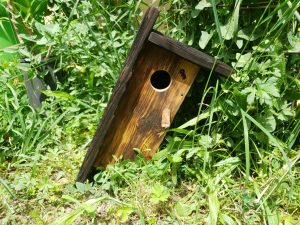 Nichoir Oiseaux - Pisa (circle) • © AHM Créations