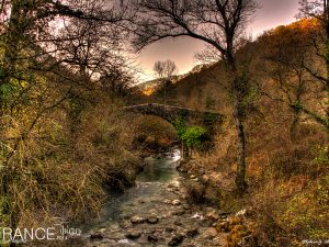 Le Loup Riviera • Cipieres • 2014 • © AHM Créations / Stéphane Photography
