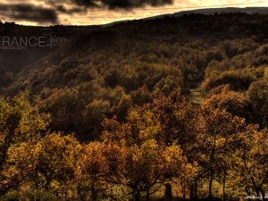 Autumn Colours • Cipieres • 2014 • © AHM Créations / Stéphane Photography
