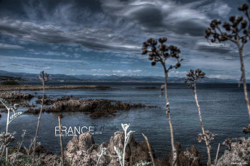 Spring's Arrival • Cap d'Antibes • 2014 • © AHM Créations / Stéphane Photography